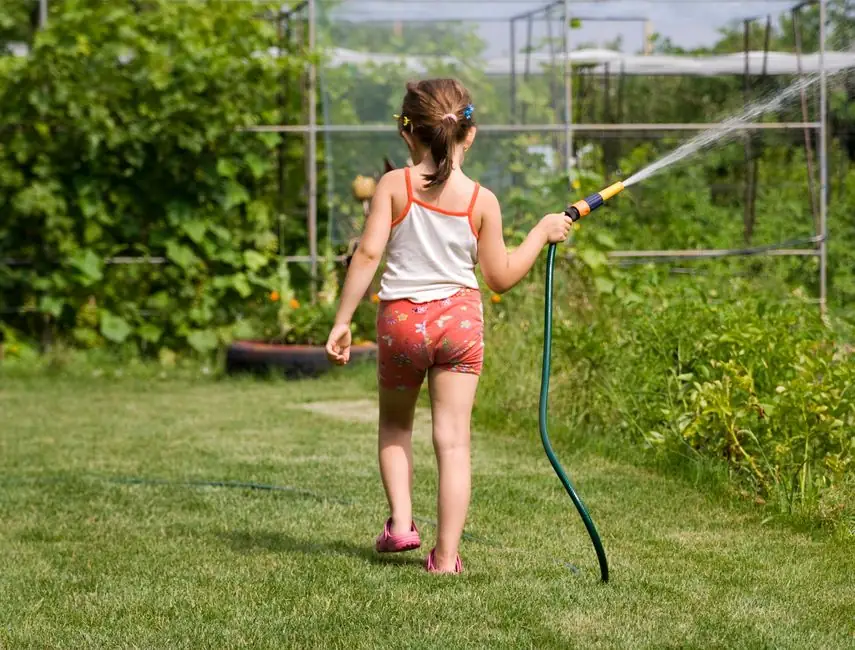 What Are the Signs Your Septic Tank Needs Pumping?